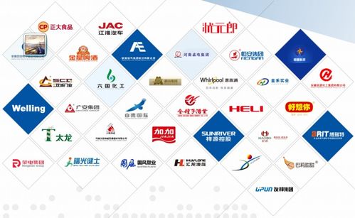 昊邦科技 企業管理與信息技術服務專家